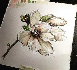 flower drawing with color 